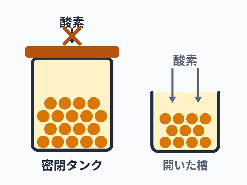 アナエロビックファーメンテーション