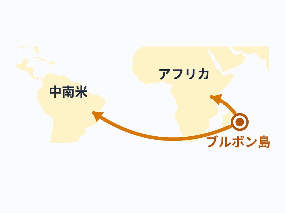 ブルボン