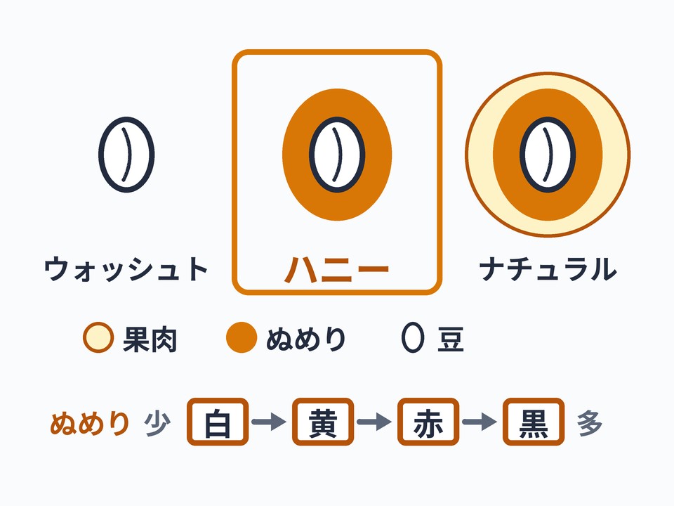 ハニープロセス