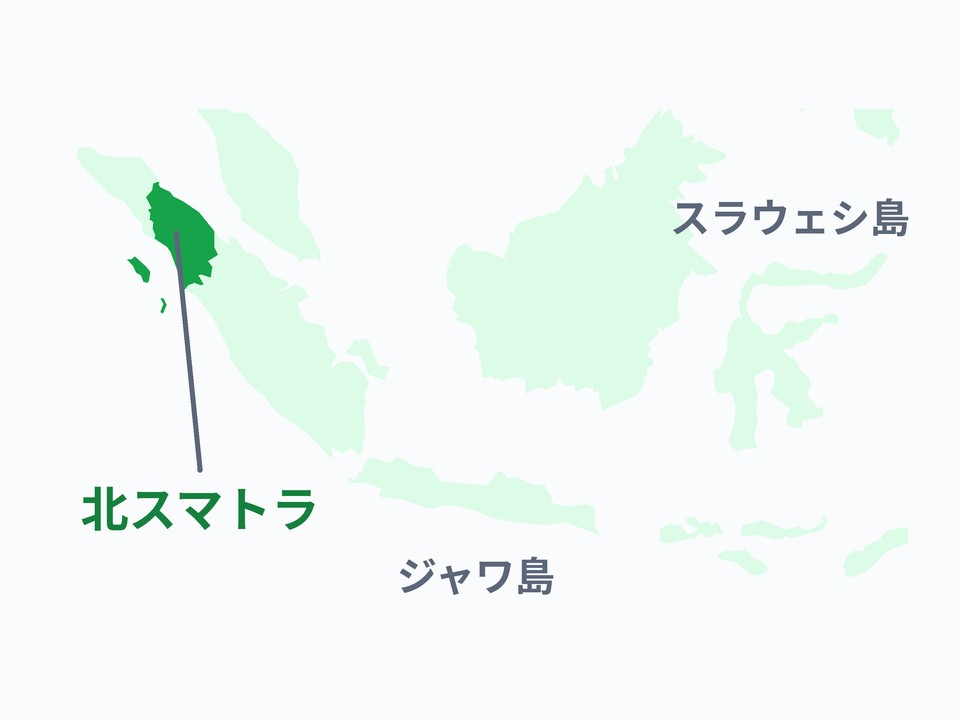 インドネシア（マンデリン）
