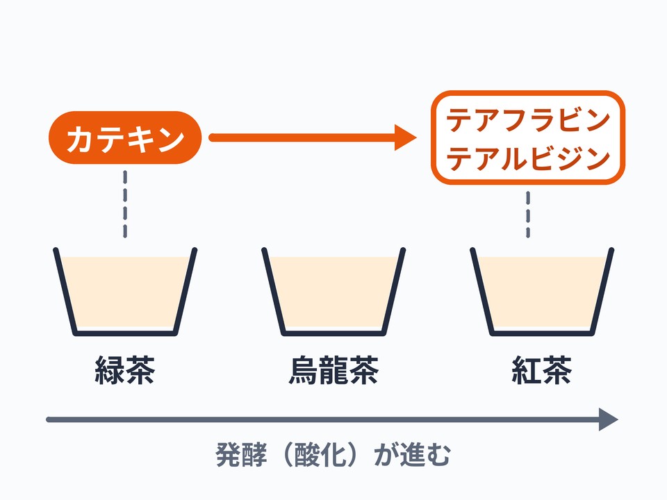 お茶のカテキンの渋み