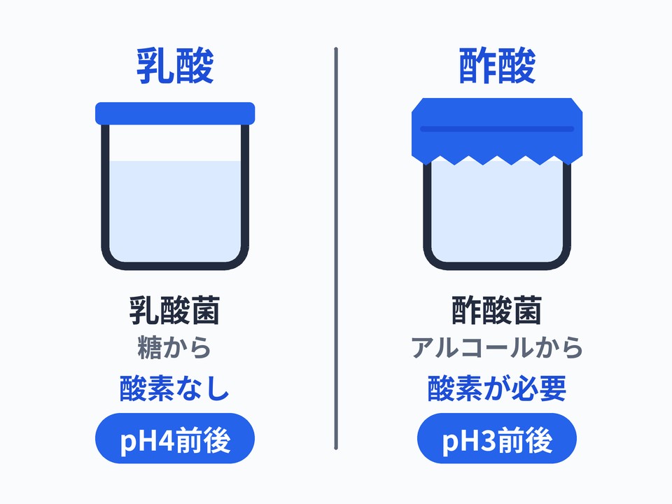乳酸と酢酸の違い