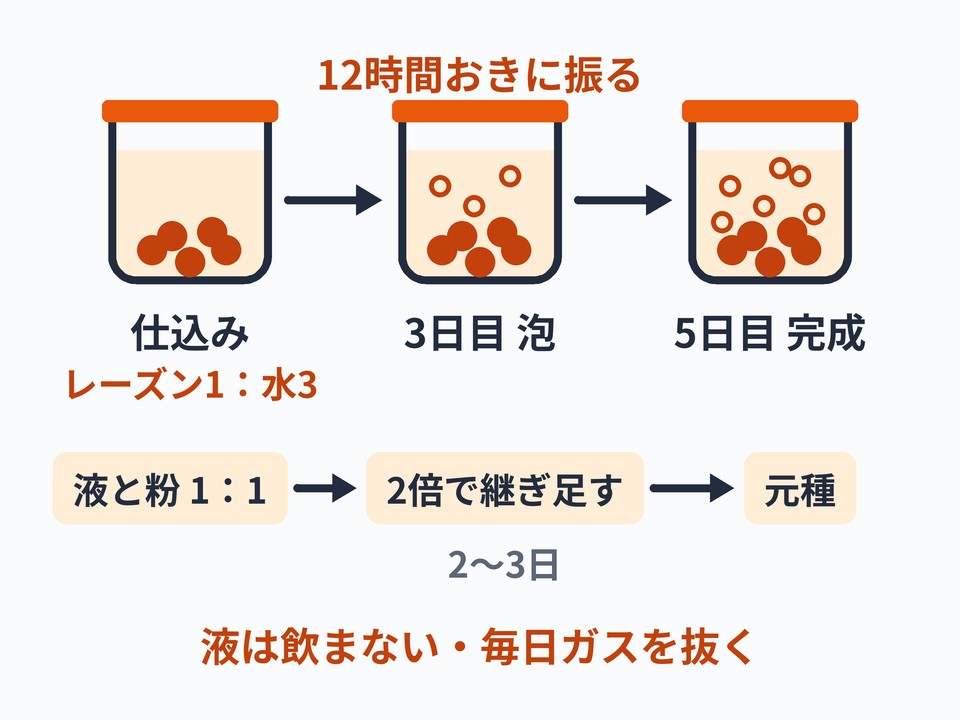 レーズン酵母（果実の酵母おこし）