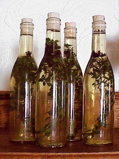 酢