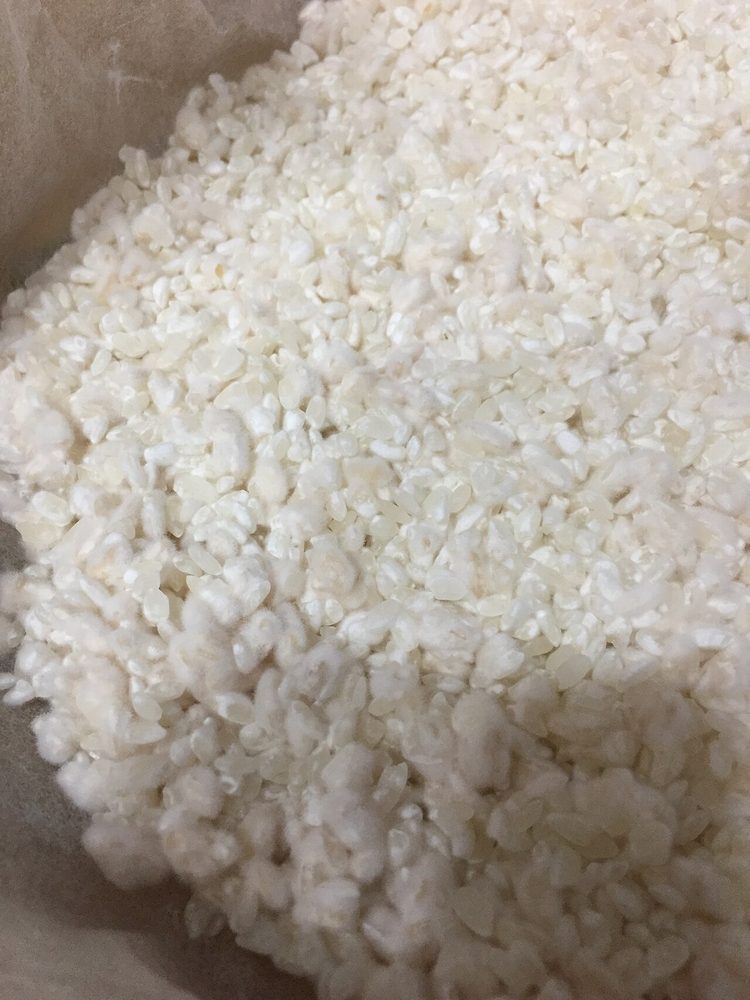 乾燥米麹