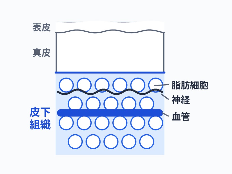 皮下組織