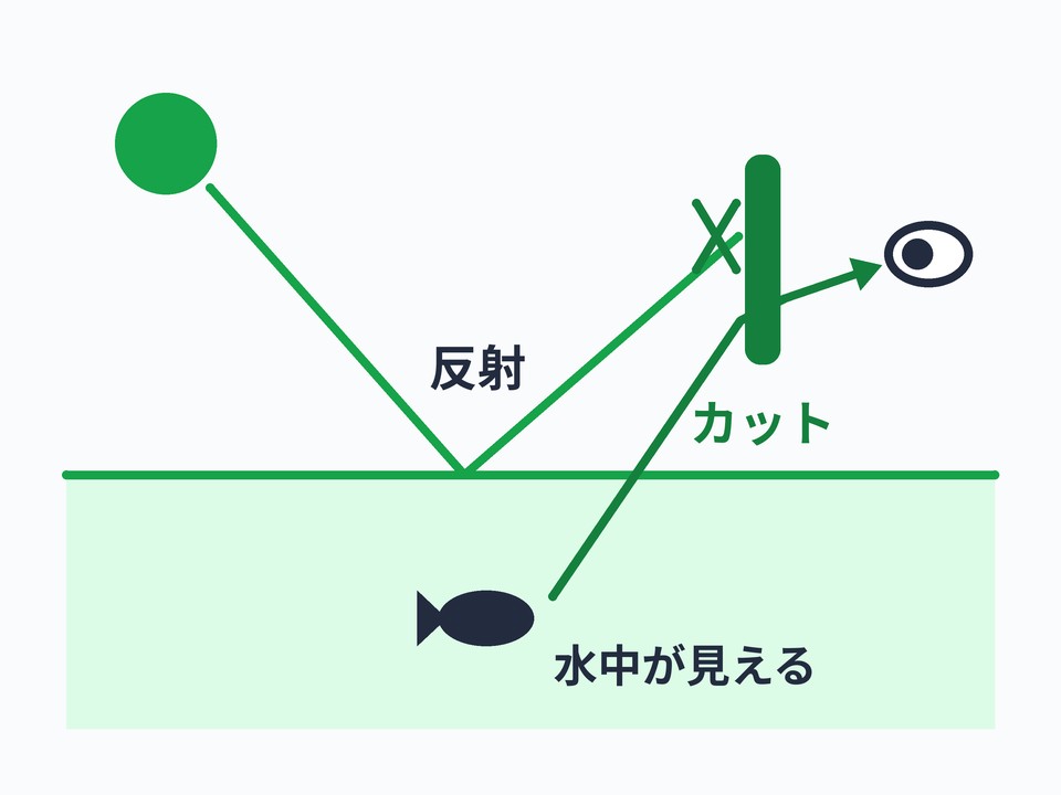 偏光サングラス