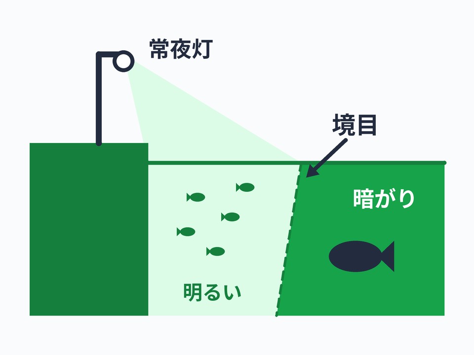 常夜灯まわり