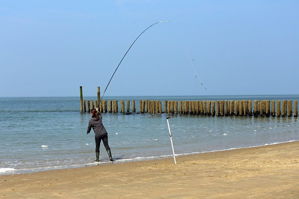 サーフ（砂浜）
