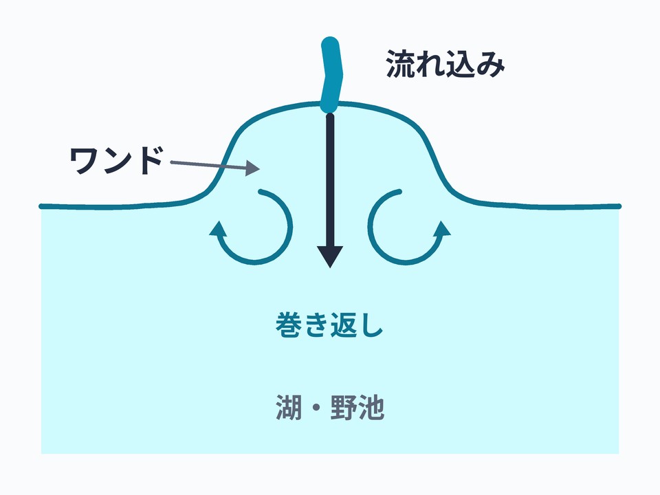 ワンドと流れ込み