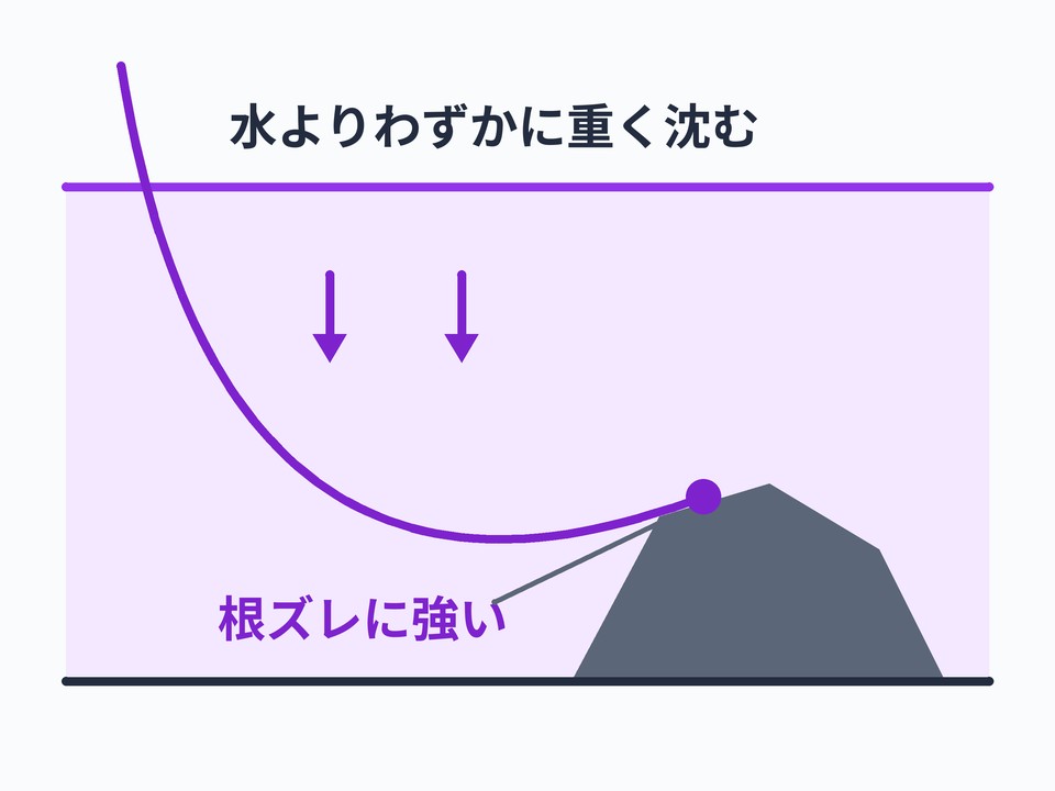 フロロカーボンライン