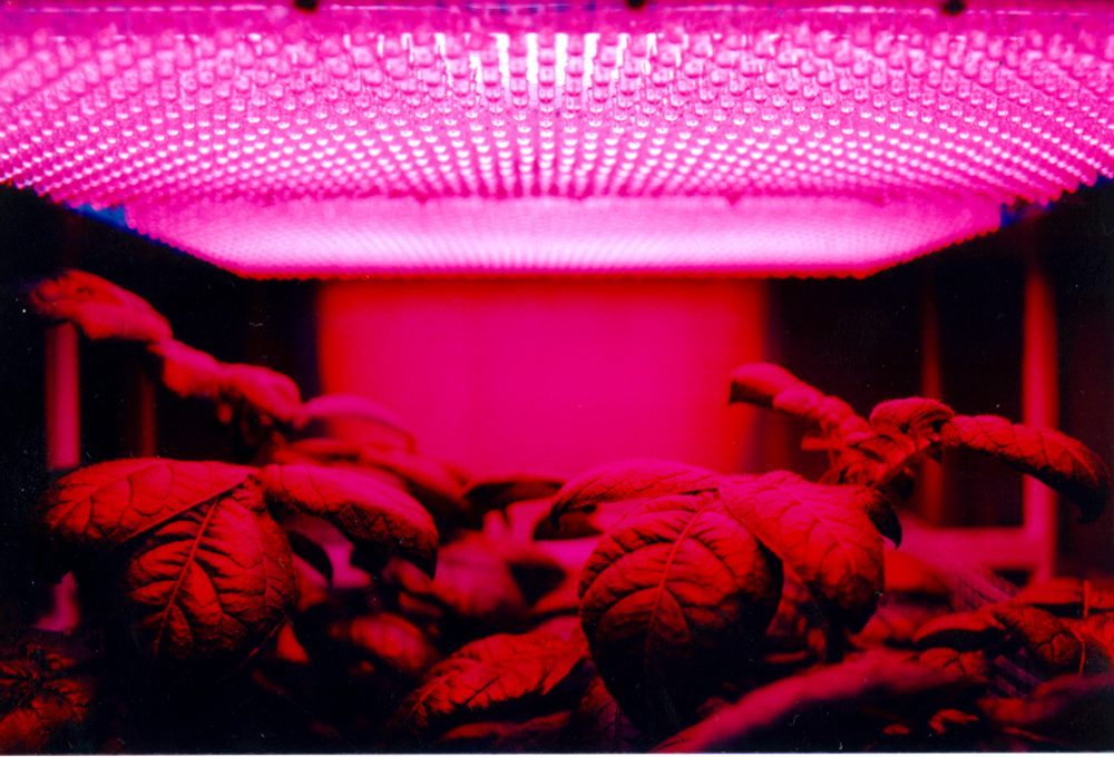 植物育成LEDライト
