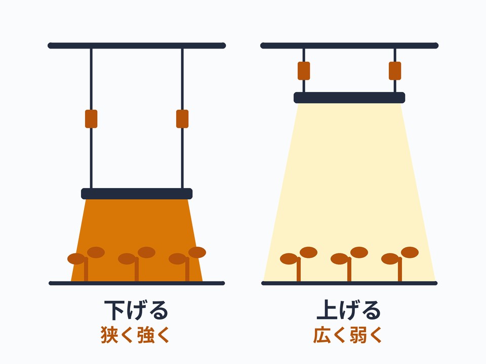 ライトハンガー