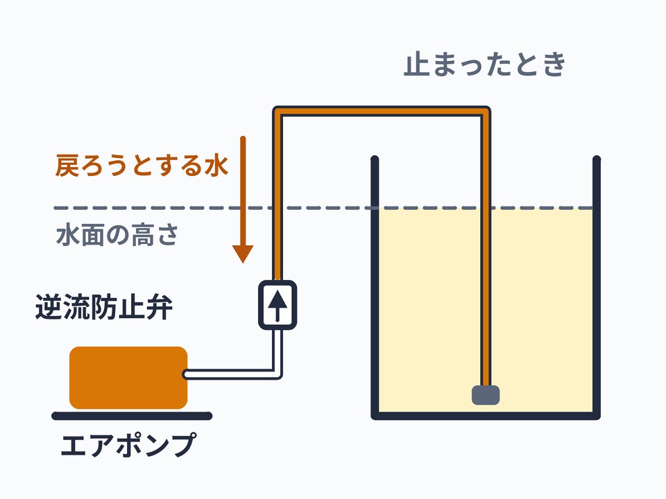 逆流防止弁