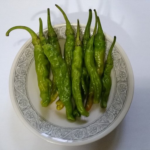 ししとうがらし